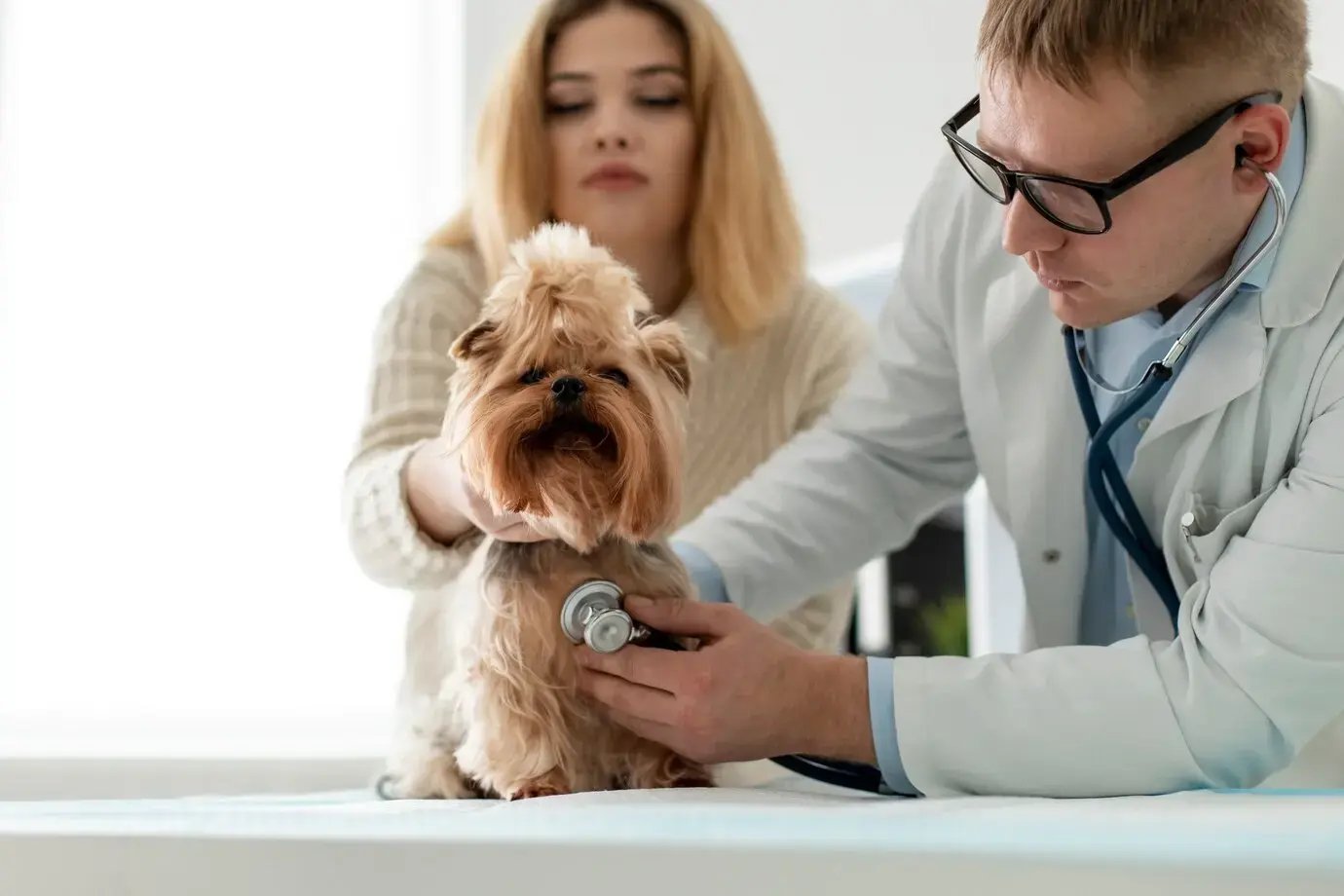 How Pet Owners Can Save On Pet Insurance