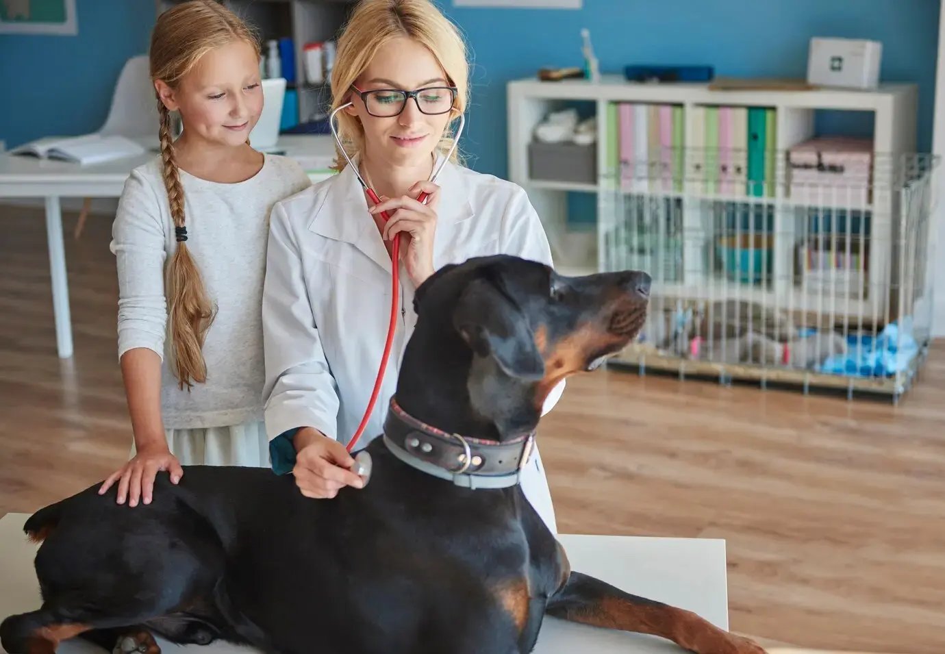 Types of Pet Insurance Policies