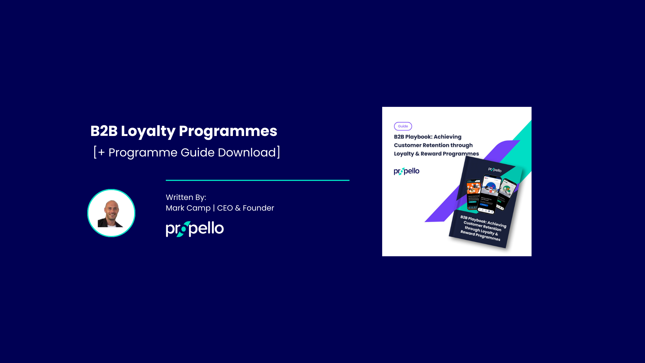 B2B Loyalty Programs Blog Banner